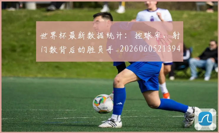 世界杯最新数据统计：控球率、射门数背后的胜负手_20260605213941